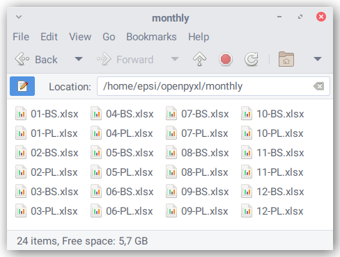 openpyxl: Monthly Accounting Report