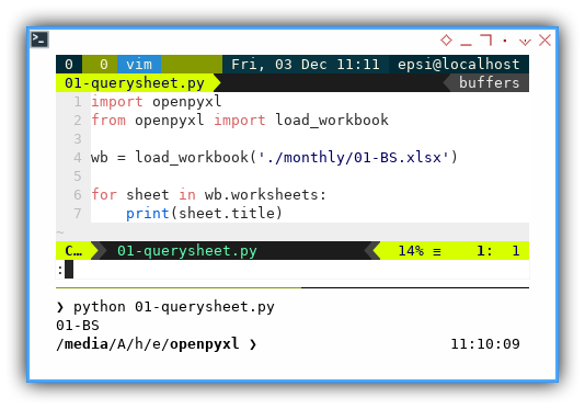 ViM: opexpyxl: Query Sheet