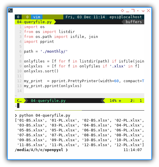 ViM: opexpyxl: Query File