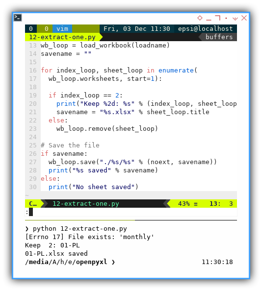 ViM: opexpyxl: Extract One Sheet