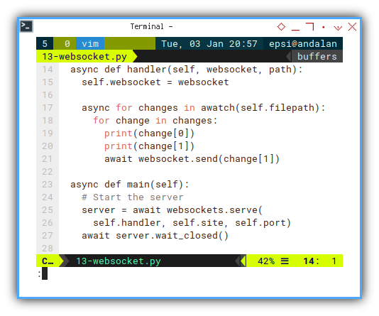 Python: Serving Web Socket: Async