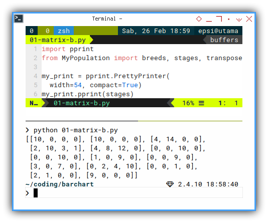 ViM: Python: Pretty Print: Stages