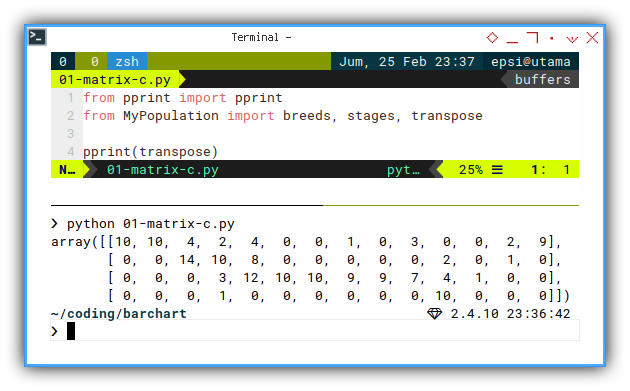 ViM: Python: Pretty Print: Transposed Stages