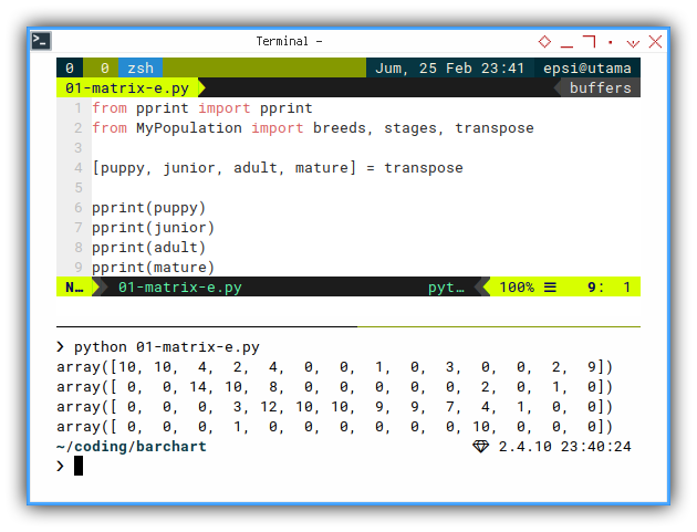 ViM: Python: Pretty Print: Extracted Stages